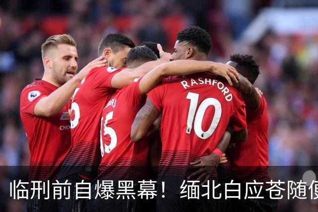临刑前自爆黑幕！缅北白应苍随便圈钱十几亿，奢靡生活超乎想象