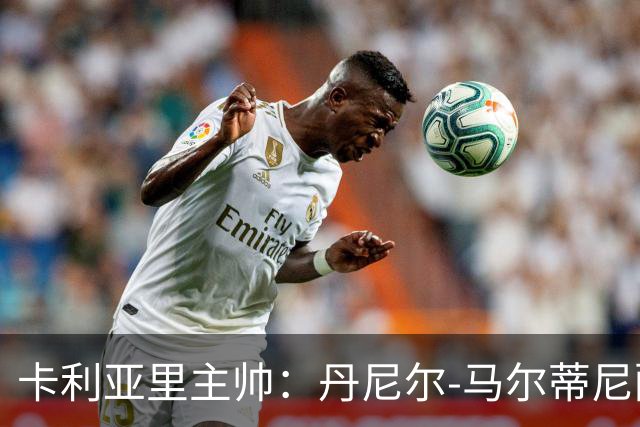 卡利亚里主帅：丹尼尔-马尔蒂尼配得上入选意大利国家队