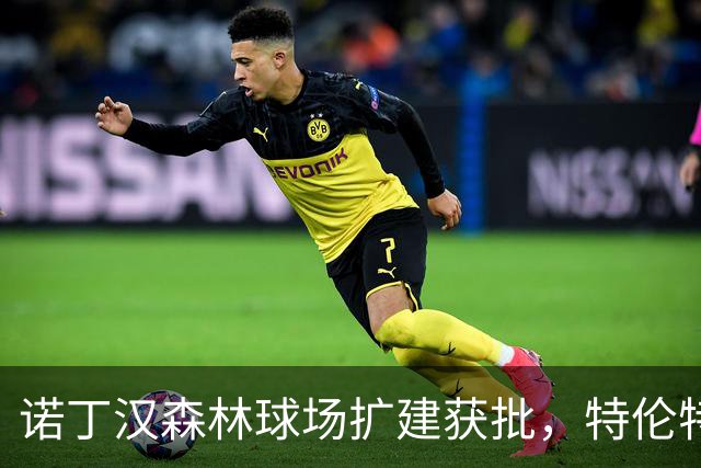 诺丁汉森林球场扩建获批，特伦特桥人流成主要制约