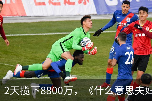 2天揽下8800万，《什么意思夫妇》蝉联亚军，和贾玲比，沈春阳还是差点意思